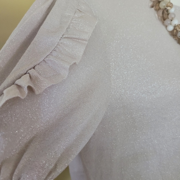 NWT W5 beige shimmer puff short sleeve blouse top womens size small - Picture 3 of 6